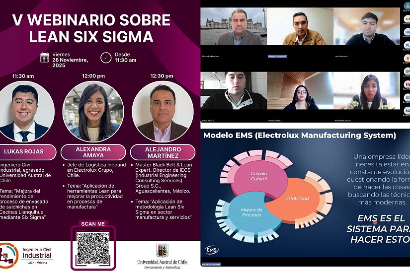 V Webinario Lean Six Sigma